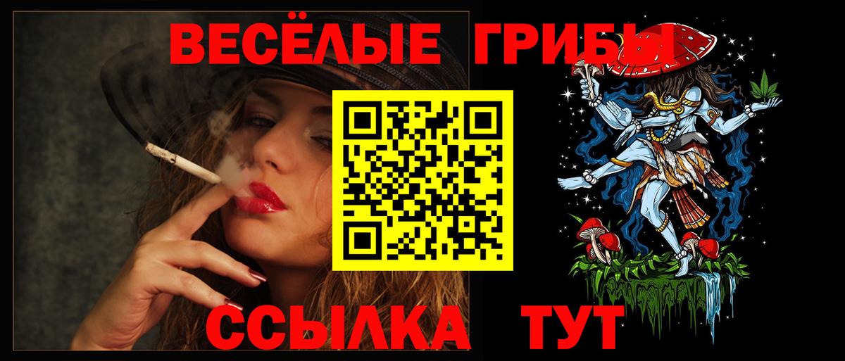 Галлюциногенные грибы Psilocybine cubensis  Вход с VPN  Зеленогорск 